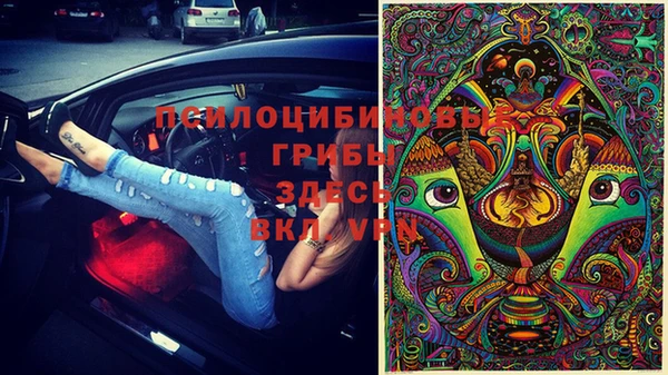 мет Мегион